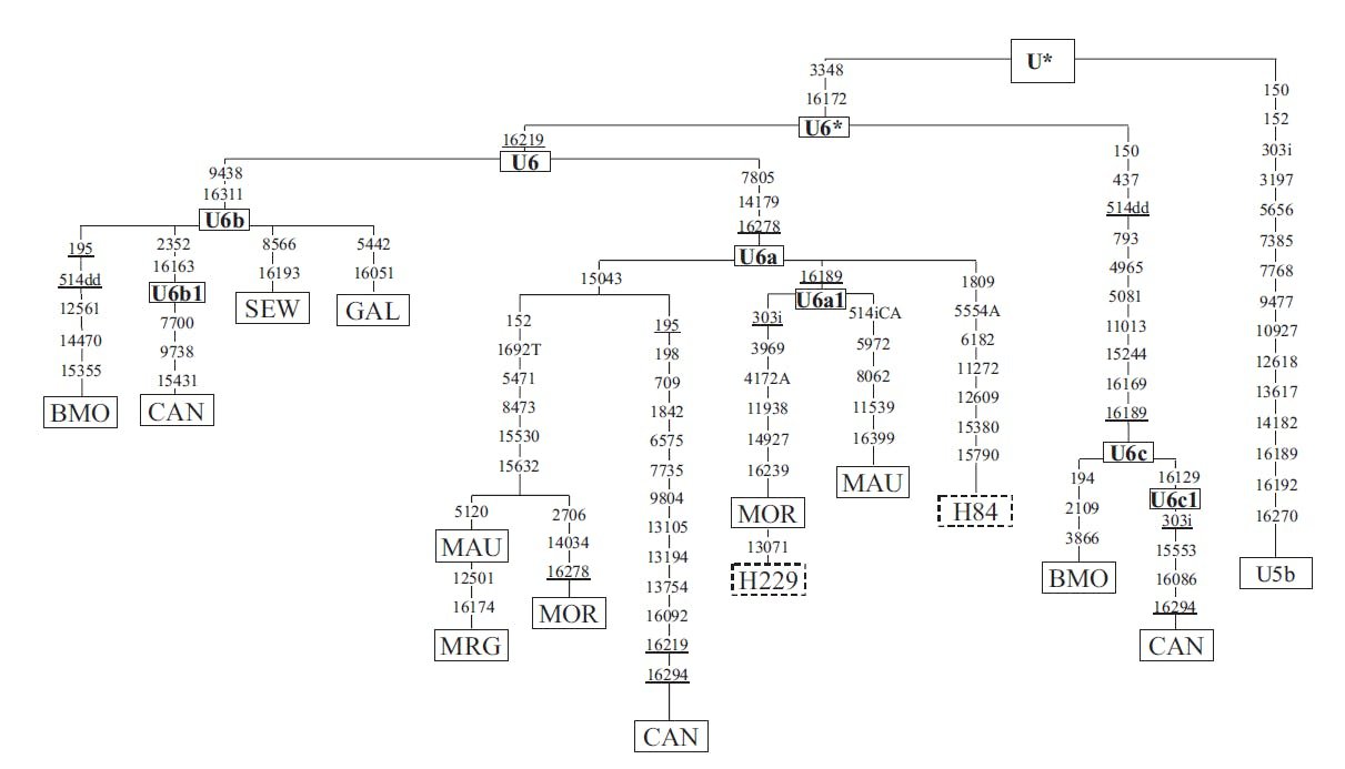 Ancestry: Knowing VS Believing (Chapter 3) 604976bd5a2ed9b08b406a13 Email