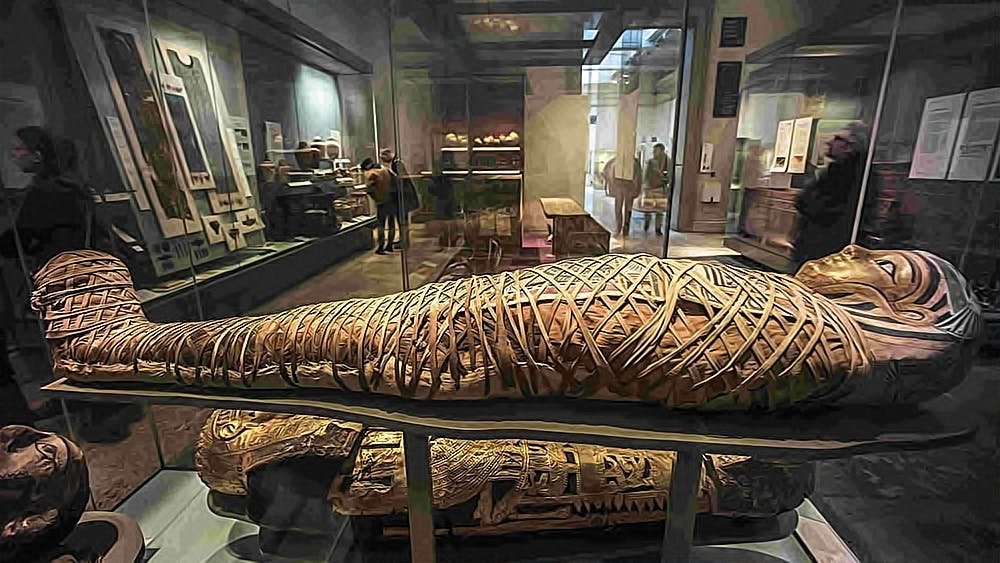 604d65c3fa4363619e1eca5b Email